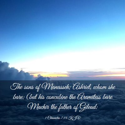 Picture 03 - 1 Chronicles 7:14 KJV - The sons of Manasseh; Ashriel, whom she bare: - Bible Verse Picture