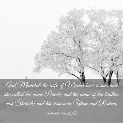 Picture 03 - 1 Chronicles 7:16 KJV - And Maachah the wife of Machir bare a son, and - Bible Verse Picture