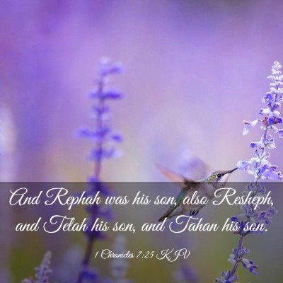 Picture 03 - 1 Chronicles 7:25 KJV - And Rephah was his son, also Resheph, and Telah - Bible Verse Picture