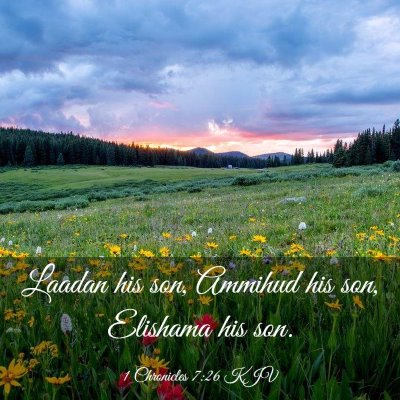 Picture 03 - 1 Chronicles 7:26 KJV - Laadan his son, Ammihud his son, Elishama his - Bible Verse Picture