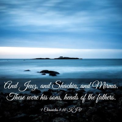 Picture 03 - 1 Chronicles 8:10 KJV - And Jeuz, and Shachia, and Mirma. These were his - Bible Verse Picture