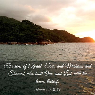 Picture 03 - 1 Chronicles 8:12 KJV - The sons of Elpaal; Eber, and Misham, and Shamed, - Bible Verse Picture