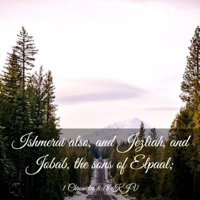 Picture 03 - 1 Chronicles 8:18 KJV - Ishmerai also, and Jezliah, and Jobab, the sons - Bible Verse Picture