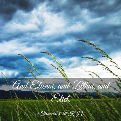 Picture 03 - 1 Chronicles 8:20 KJV - And Elienai, and Zilthai, and - Bible Verse Picture