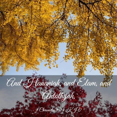 Picture 03 - 1 Chronicles 8:24 KJV - And Hananiah, and Elam, and - Bible Verse Picture