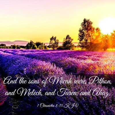 Picture 03 - 1 Chronicles 8:35 KJV - And the sons of Micah were, Pithon, and Melech, - Bible Verse Picture