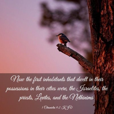 Picture 03 - 1 Chronicles 9:2 KJV - Now the first inhabitants that dwelt in their - Bible Verse Picture
