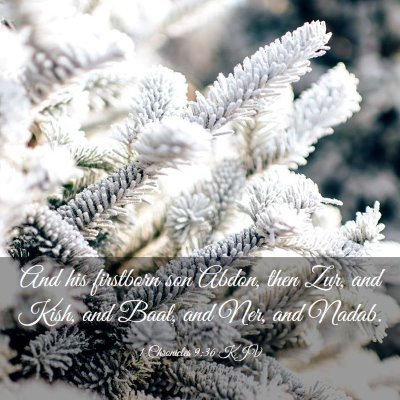 Picture 03 - 1 Chronicles 9:36 KJV - And his firstborn son Abdon, then Zur, and Kish, - Bible Verse Picture