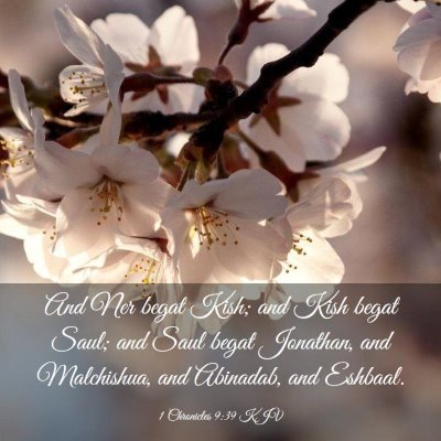 Picture 03 - 1 Chronicles 9:39 KJV - And Ner begat Kish; and Kish begat Saul; and Saul - Bible Verse Picture