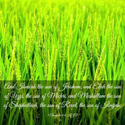 Picture 03 - 1 Chronicles 9:8 KJV - And Ibneiah the son of Jeroham, and Elah the son - Bible Verse Picture