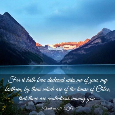 Picture 03 - 1 Corinthians 1:11 KJV - For it hath been declared unto me of you, my - Bible Verse Picture