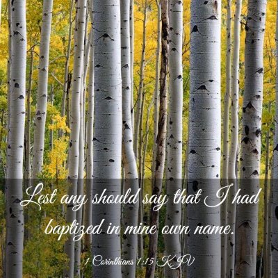 Picture 03 - 1 Corinthians 1:15 KJV - Lest any should say that I had baptized in mine - Bible Verse Picture