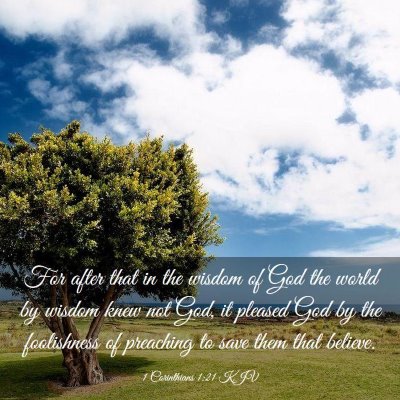 Picture 03 - 1 Corinthians 1:21 KJV - For after that in the wisdom of God the world by - Bible Verse Picture