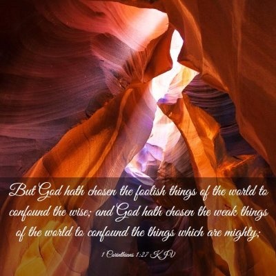 Picture 03 - 1 Corinthians 1:27 KJV - But God hath chosen the foolish things of the - Bible Verse Picture