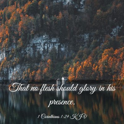 Picture 03 - 1 Corinthians 1:29 KJV - That no flesh should glory in his - Bible Verse Picture
