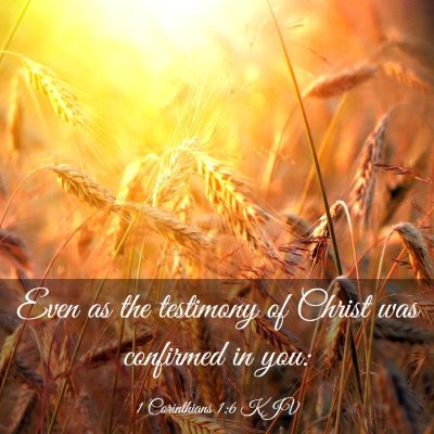 Picture 03 - 1 Corinthians 1:6 KJV - Even as the testimony of Christ was confirmed in - Bible Verse Picture