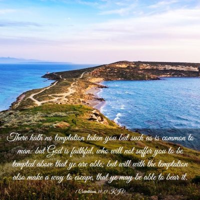 Picture 03 - 1 Corinthians 10:13 KJV - There hath no temptation taken you but such as is - Bible Verse Picture