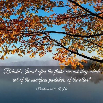 Picture 03 - 1 Corinthians 10:18 KJV - Behold Israel after the flesh: are not they which - Bible Verse Picture