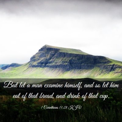 Picture 03 - 1 Corinthians 11:28 KJV - But let a man examine himself, and so let him eat - Bible Verse Picture