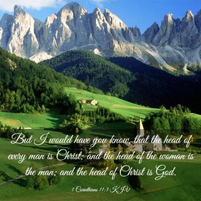 Picture 03 - 1 Corinthians 11:3 KJV - But I would have you know, that the head of every - Bible Verse Picture