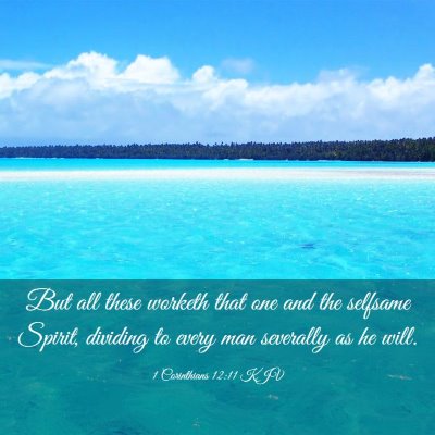 Picture 03 - 1 Corinthians 12:11 KJV - But all these worketh that one and the selfsame - Bible Verse Picture