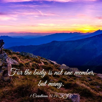 Picture 03 - 1 Corinthians 12:14 KJV - For the body is not one member, but - Bible Verse Picture