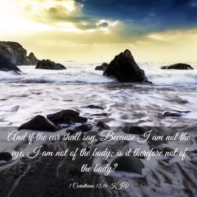 Picture 03 - 1 Corinthians 12:16 KJV - And if the ear shall say, Because I am not the - Bible Verse Picture