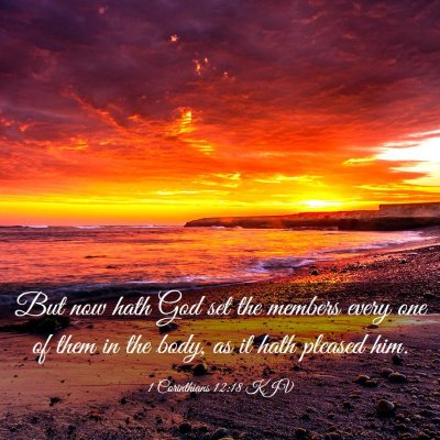 Picture 03 - 1 Corinthians 12:18 KJV - But now hath God set the members every one of - Bible Verse Picture