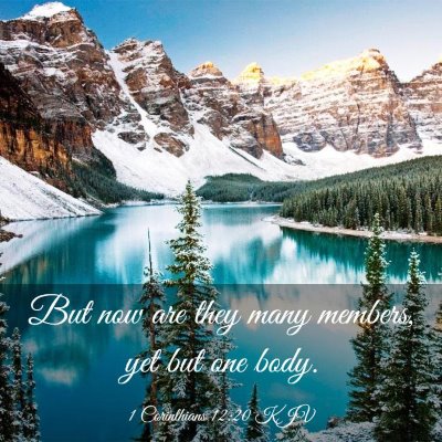 Picture 03 - 1 Corinthians 12:20 KJV - But now are they many members, yet but one - Bible Verse Picture