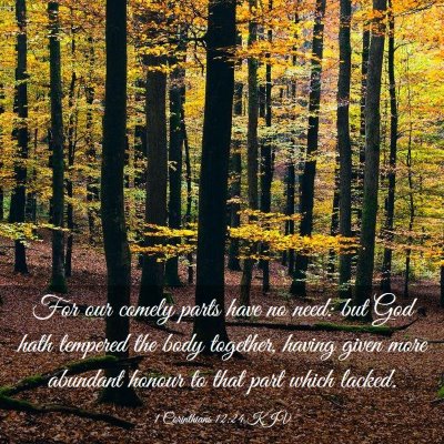 Picture 03 - 1 Corinthians 12:24 KJV - For our comely parts have no need: but God hath - Bible Verse Picture