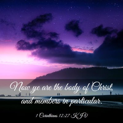 Picture 03 - 1 Corinthians 12:27 KJV - Now ye are the body of Christ, and members in - Bible Verse Picture