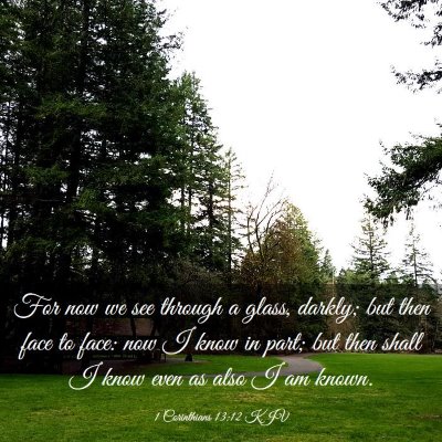 Picture 03 - 1 Corinthians 13:12 KJV - For now we see through a glass, darkly; but then - Bible Verse Picture