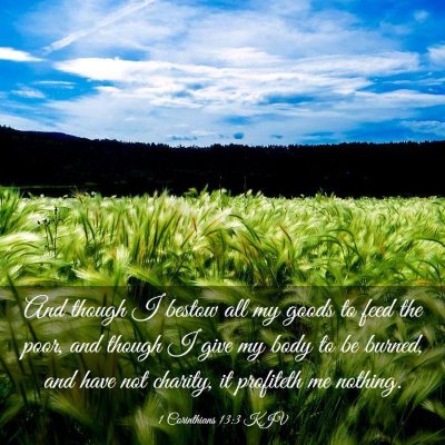 Picture 03 - 1 Corinthians 13:3 KJV - And though I bestow all my goods to feed the - Bible Verse Picture