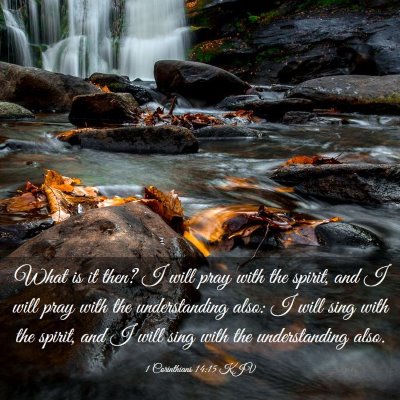 Picture 03 - 1 Corinthians 14:15 KJV - What is it then? I will pray with the spirit, and - Bible Verse Picture