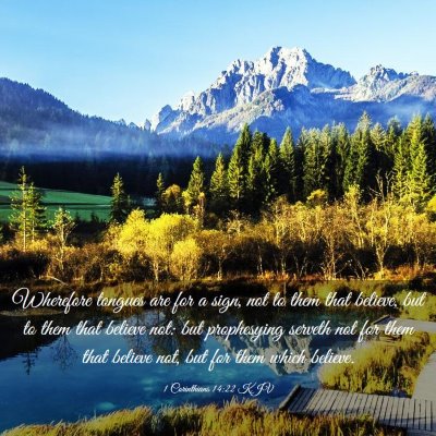 Picture 03 - 1 Corinthians 14:22 KJV - Wherefore tongues are for a sign, not to them - Bible Verse Picture