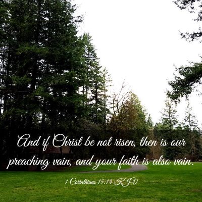 Picture 03 - 1 Corinthians 15:14 KJV - And if Christ be not risen, then is our preaching - Bible Verse Picture