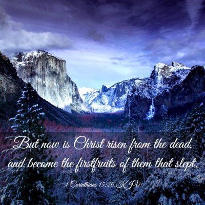 Picture 03 - 1 Corinthians 15:20 KJV - But now is Christ risen from the dead, and become - Bible Verse Picture
