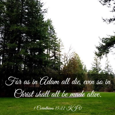Picture 03 - 1 Corinthians 15:22 KJV - For as in Adam all die, even so in Christ shall - Bible Verse Picture
