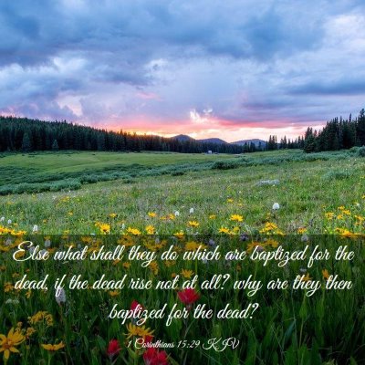 Picture 03 - 1 Corinthians 15:29 KJV - Else what shall they do which are baptized for - Bible Verse Picture