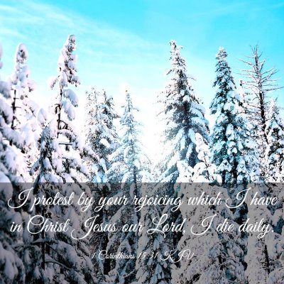 Picture 03 - 1 Corinthians 15:31 KJV - I protest by your rejoicing which I have in - Bible Verse Picture