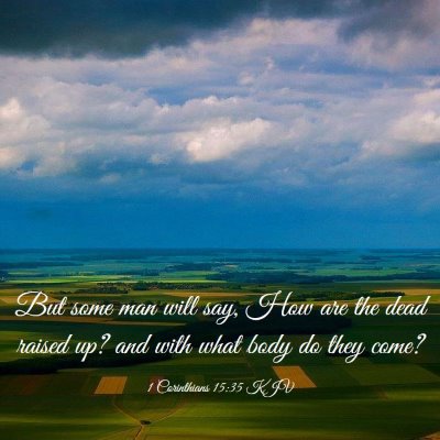 Picture 03 - 1 Corinthians 15:35 KJV - But some man will say, How are the dead raised - Bible Verse Picture