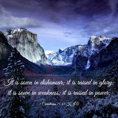 Picture 03 - 1 Corinthians 15:43 KJV - It is sown in dishonour; it is raised in glory: - Bible Verse Picture