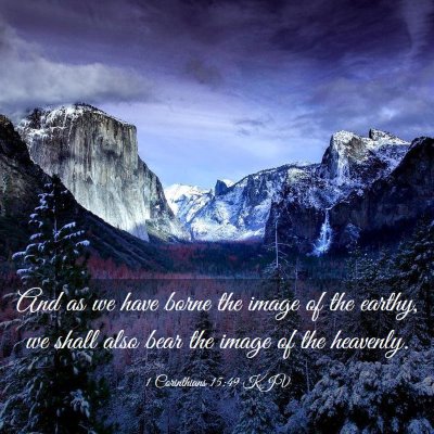 Picture 03 - 1 Corinthians 15:49 KJV - And as we have borne the image of the earthy, we - Bible Verse Picture