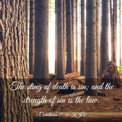 Picture 03 - 1 Corinthians 15:56 KJV - The sting of death is sin; and the strength of - Bible Verse Picture