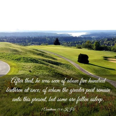 Picture 03 - 1 Corinthians 15:6 KJV - After that, he was seen of above five hundred - Bible Verse Picture