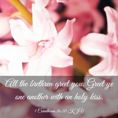 Picture 03 - 1 Corinthians 16:20 KJV - All the brethren greet you. Greet ye one another - Bible Verse Picture