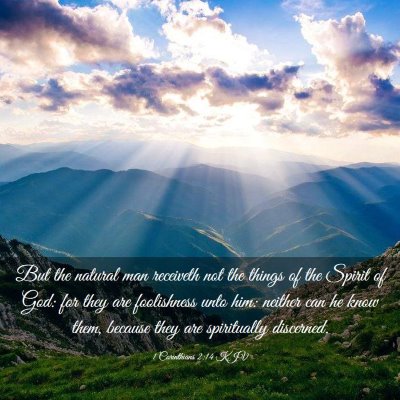 Picture 03 - 1 Corinthians 2:14 KJV - But the natural man receiveth not the things of - Bible Verse Picture