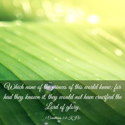 Picture 03 - 1 Corinthians 2:8 KJV - Which none of the princes of this world knew: for - Bible Verse Picture