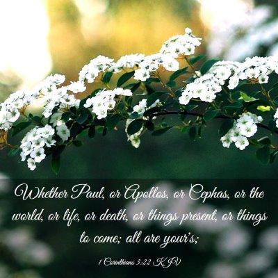 Picture 03 - 1 Corinthians 3:22 KJV - Whether Paul, or Apollos, or Cephas, or the - Bible Verse Picture