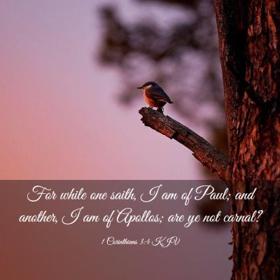 Picture 03 - 1 Corinthians 3:4 KJV - For while one saith, I am of Paul; and another, I - Bible Verse Picture